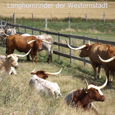 شقة Harzhaus Harzblick
