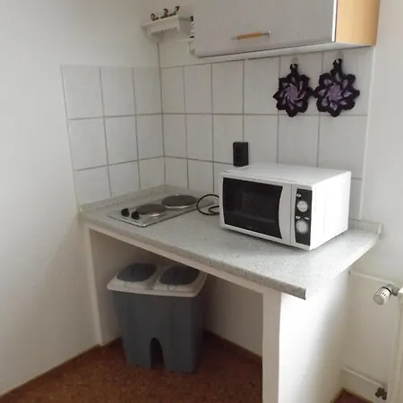 Harzhaus Harzblick Apartment *