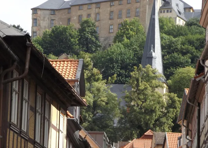 Harzhaus Harzblick Apartamento *