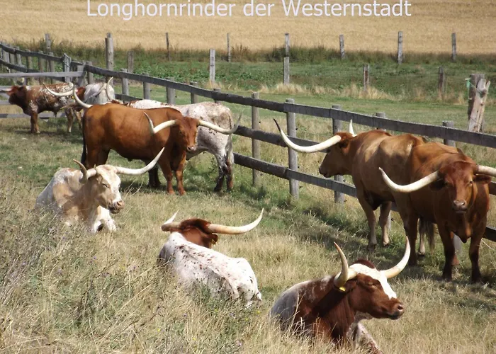 Apartamento Harzhaus Harzblick