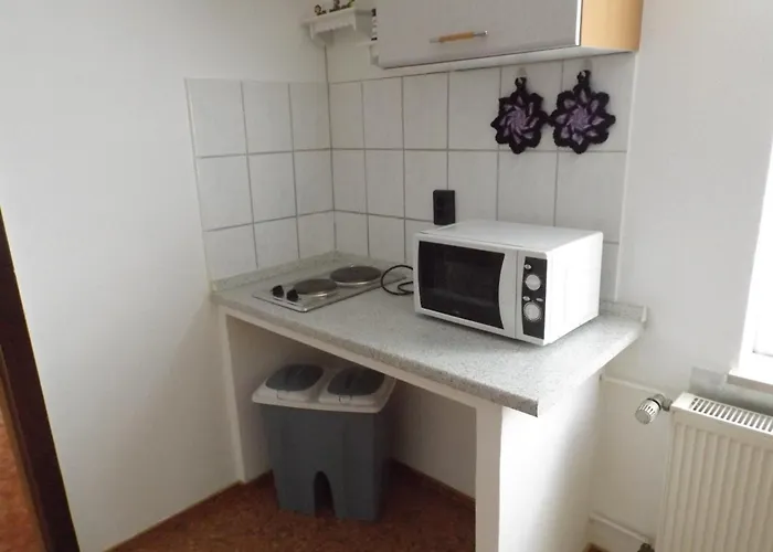 Harzhaus Harzblick Apartamento *